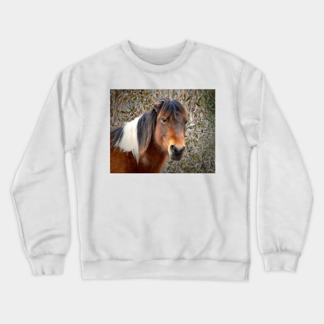 Assateague Island Pony Patricia Irene Crewneck Sweatshirt by Swartwout